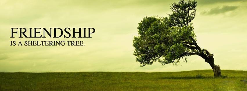 Happy Friendship Day Facebook (FB) Covers, Photos, Banners