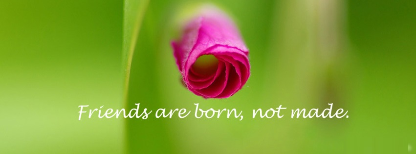 Happy Friendship Day Facebook (FB) Covers, Photos, Banners